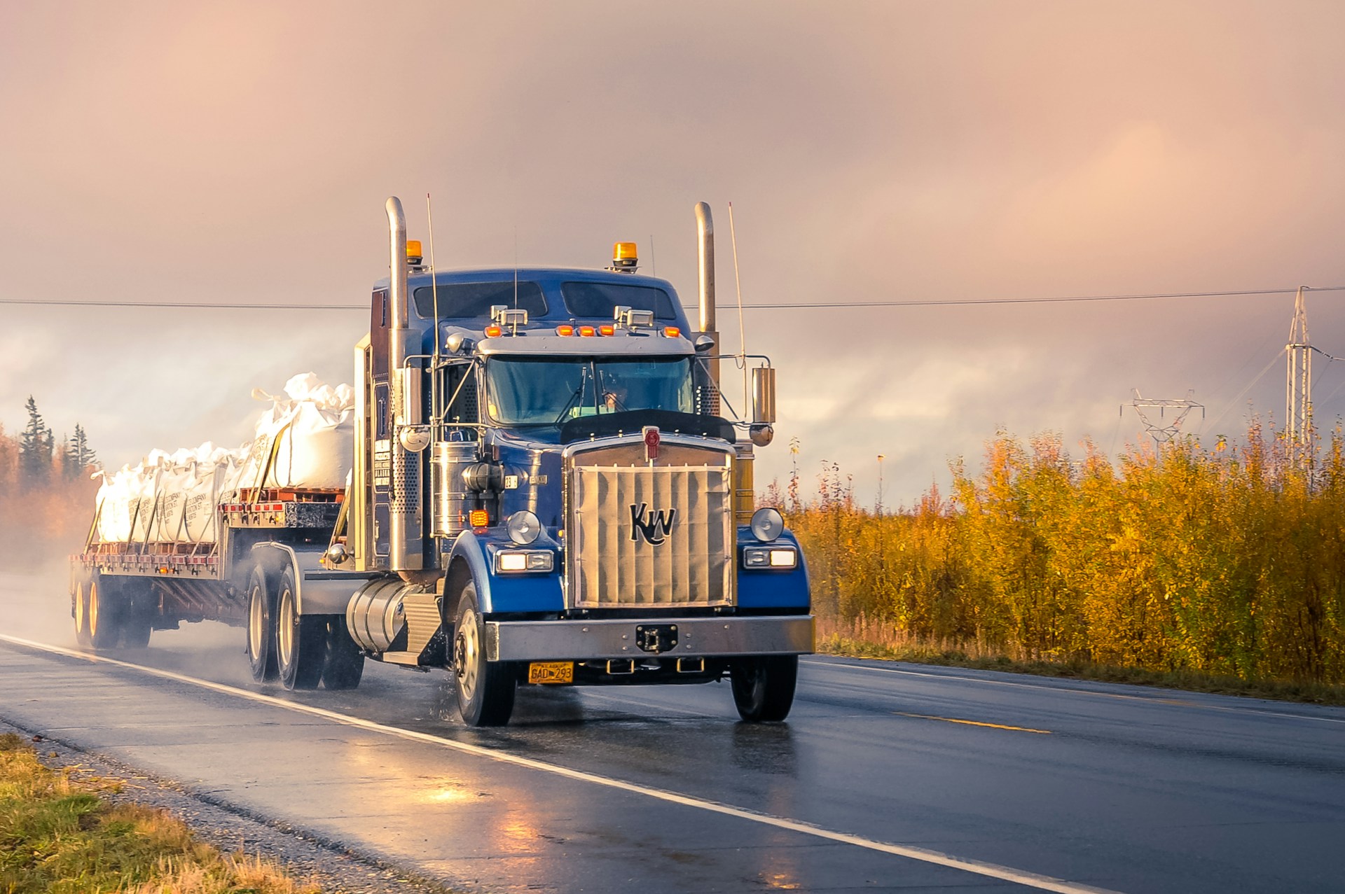 Truck driver in front of truck